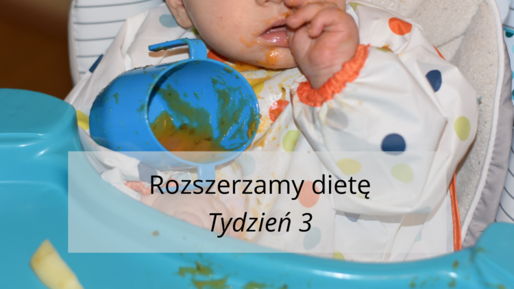 Rozszerzanie diety tydzień 3 (raczkujac.pl)