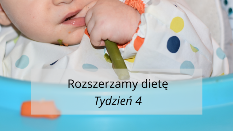 Rozszerzanie diety tydzień 4 (raczkujac.pl)