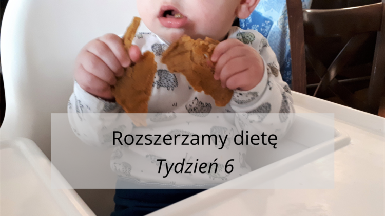 Rozszerzanie diety tydzień 6 (raczkujac.pl)