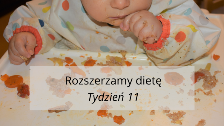 Rozszerzanie diety tydzień 11 (raczkujac.pl)