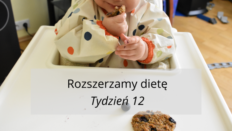 Rozszerzanie diety tydzień 12 (raczkujac.pl)