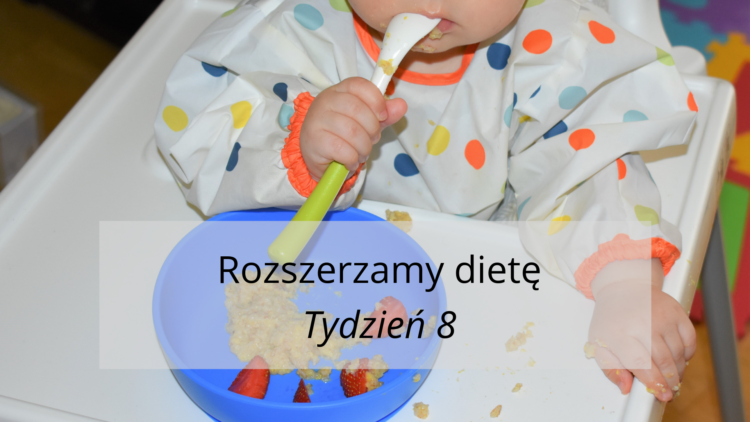 Rozszerzanie diety tydzień 8 (raczkujac.pl)