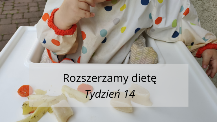 Rozszerzanie diety tydzień 14 (raczkujac.pl)