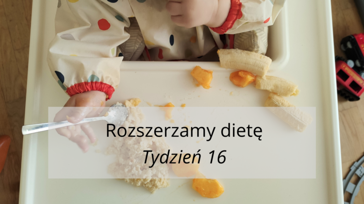 Rozszerzanie diety tydzień 16 (raczkujac.pl)