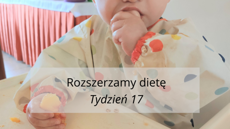 Rozszerzanie diety tydzień 17 (raczkujac.pl)