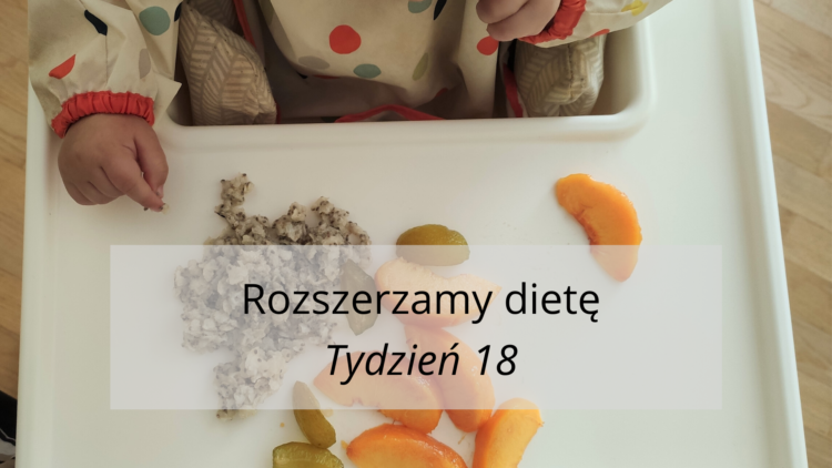 Rozszerzanie diety tydzień 18 (raczkujac.pl)